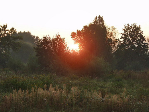 42719 (a): :1600x1200